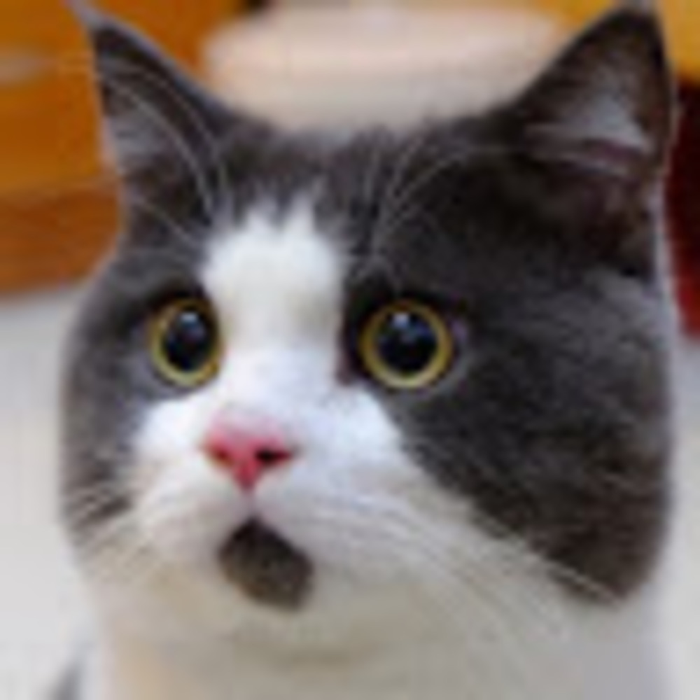 Meet your Posher, Gyek